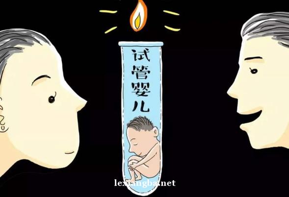 供卵代生男孩-供卵代生：实现梦想的男孩