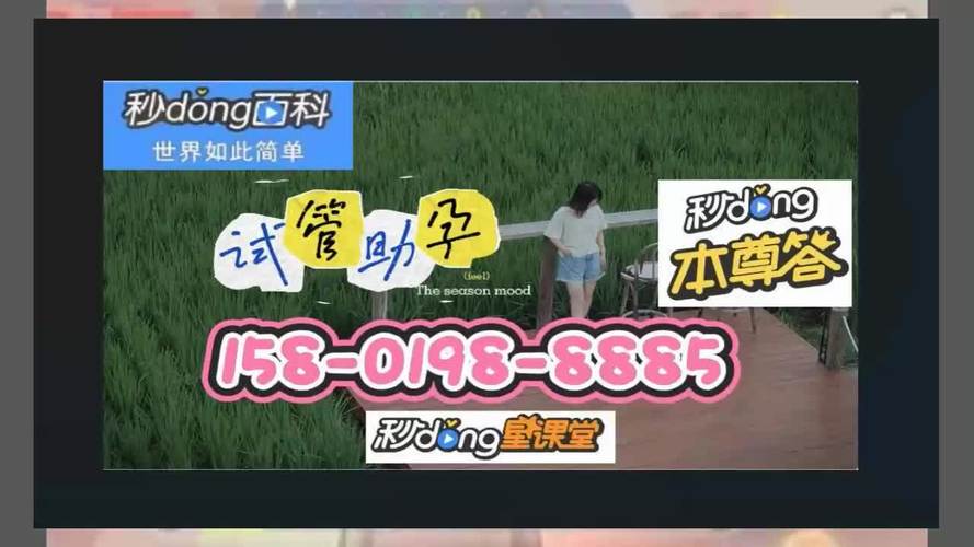 国内借卵试管代怀微信群(国内借卵试管代怀微信群，助力生育梦想)