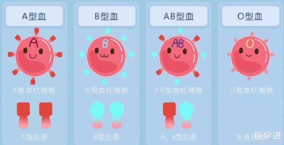 供卵的孩子跟母体有血缘关系吗【供卵孩子与母体是否有血缘关系？】