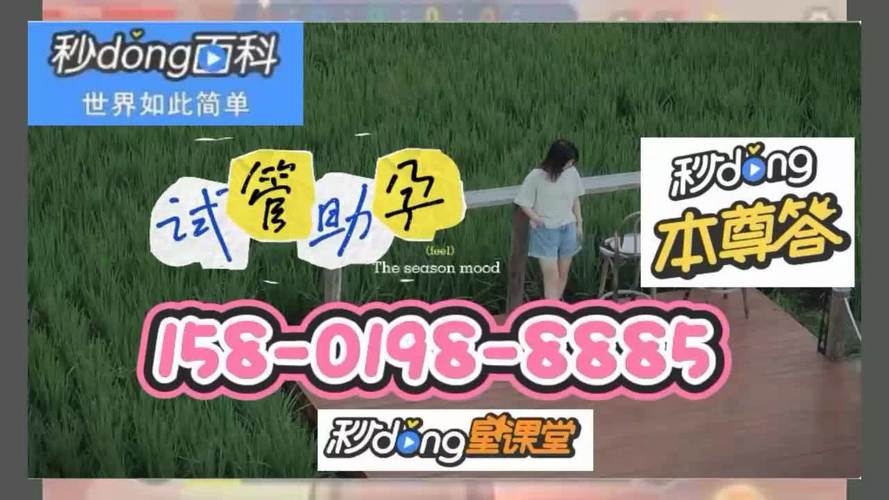 供卵试管代怀包男孩(供卵试管代怀包男孩的成长之路)