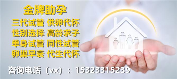 供卵试管包生男孩公司_供卵试管包生男孩公司：打造梦想家庭的首选选择