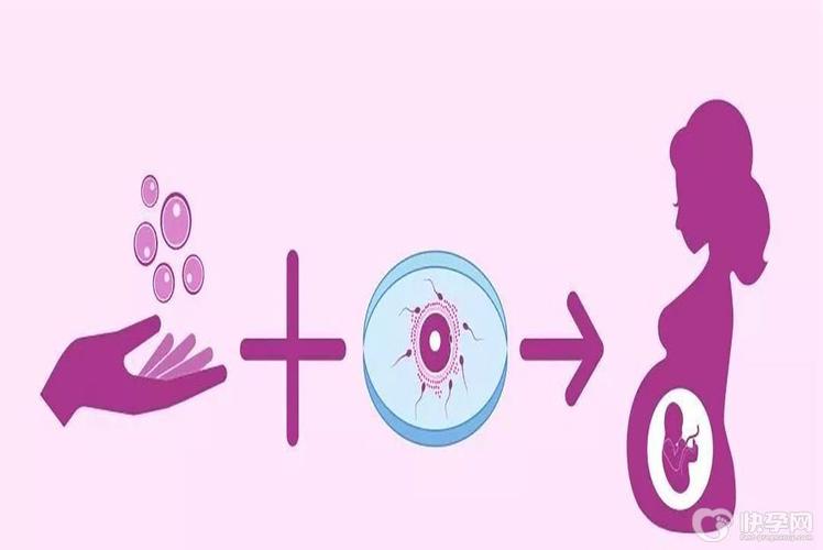 国内借卵试管代怀有吗【国内借卵试管代怀有吗:新选择让生育更便捷】