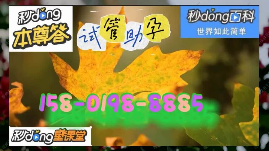 供卵试管代怀包性别电话【供卵试管代怀包性别电话服务全解析】