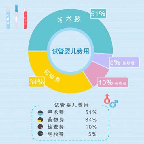 国内借卵试管代怀机构(国内借卵试管代怀机构:选择最适合的生育方式)