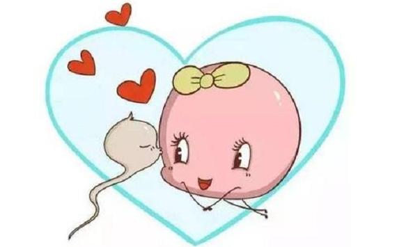 供卵可以自己找人捐赠吗(供卵者自行寻找捐赠者的途径如何？)