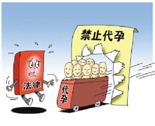 国内借卵代生子【国内借卵代生子:代孕产业的新趋势】