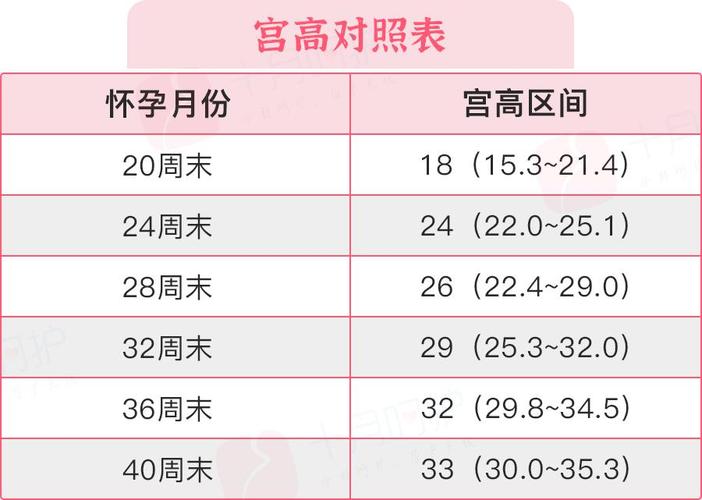 供卵试管代怀需要多少费用-供卵试管代怀需要多少费用?