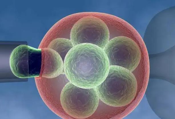 国内借卵试管代怀公司【国内借卵试管代怀公司：助您圆梦成家】