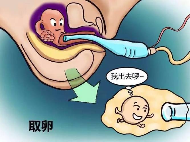 国内借卵试管代怀安全吗_国内借卵试管代怀安全吗?需要了解的安全问题大揭秘